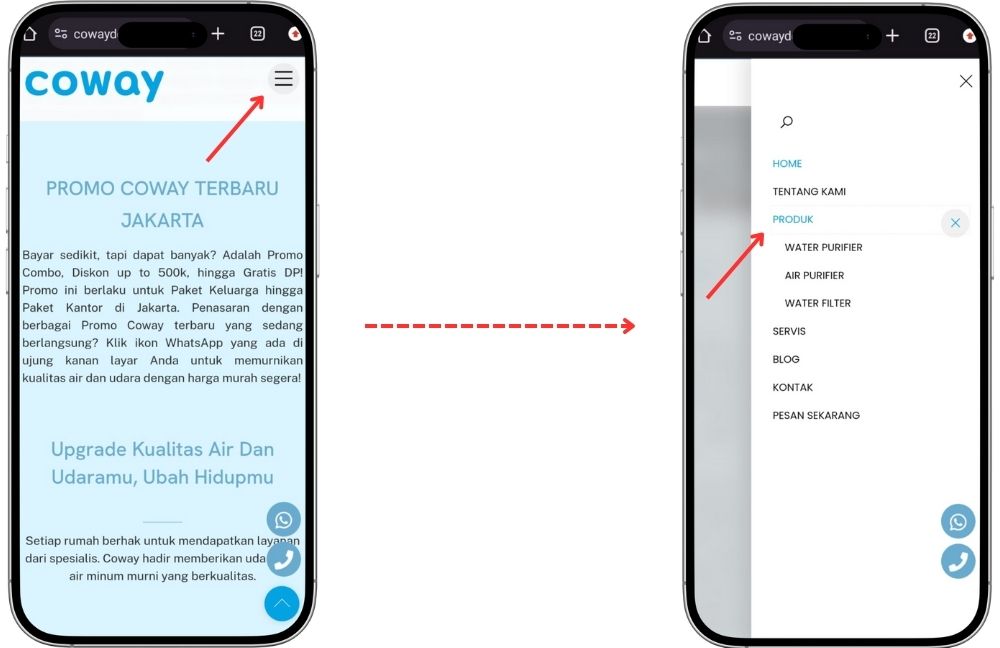 Coway Water and Air Purifier