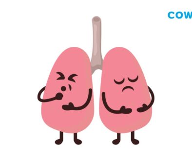 Coway Air Purifier untuk Perokok Pasif