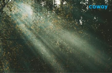 Filter Coway Orisinal Jakarta